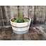 Half garden-Barrel' ALENTEJO' Natural Chestnut Wood