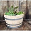 Half garden-Barrel' ALENTEJO' Natural Chestnut Wood