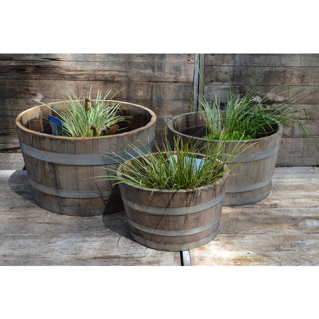 Half garden-Barrel 'TOMA' Grey Chestnut Wood
