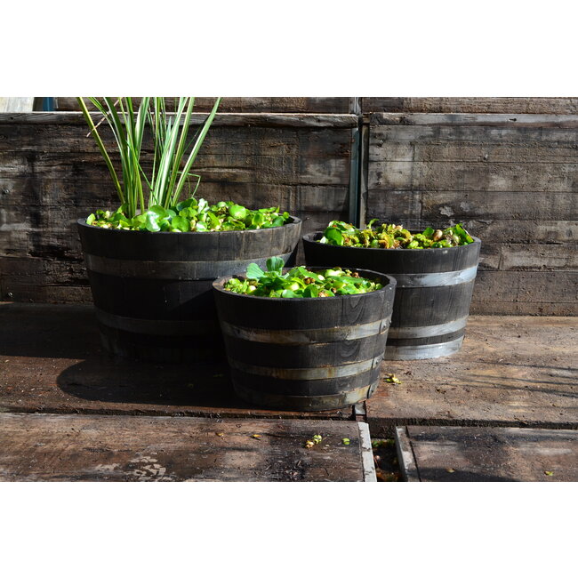 Half garden-Barrel 'ARRUDA' Black Chestnut Wood