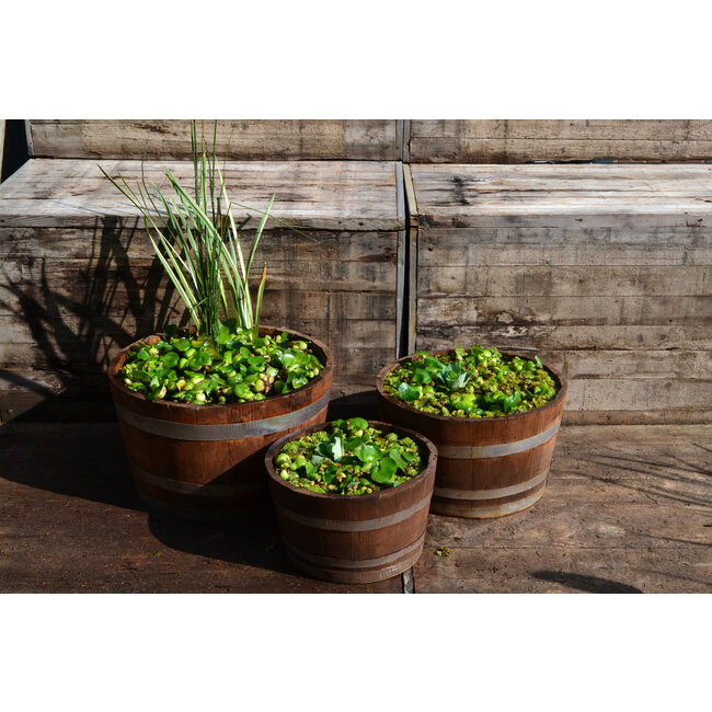 Half garden-Barrel 'BORBA' Bruin Chestnut Wood