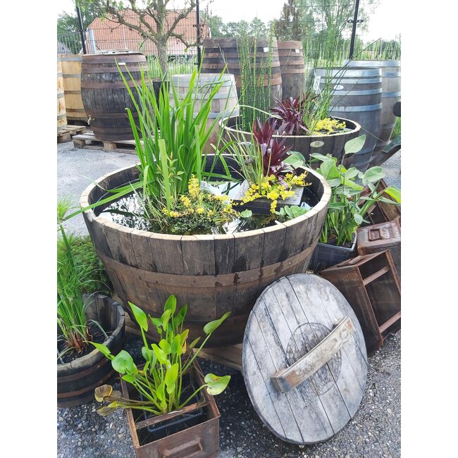 Barrel Atelier Kuip Whisky XXL