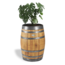 Barrel ID Wijnvat plantenbak "Ruby" blank gelakt