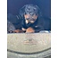 Doghouse "Boj"