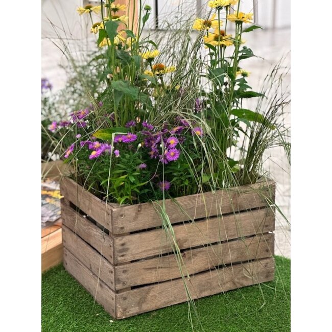 Fruitkist 'Original' - Verhuur