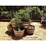 Wine barrel tub high "Brandy"