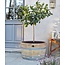 Wine barrel tub high"Brandy"
