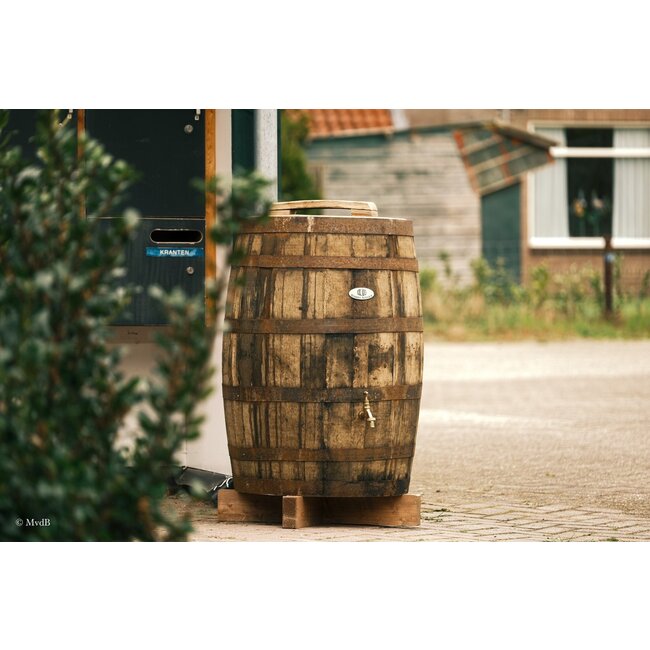 Houten Regenton Whisky "Scottisch"  Los deksel