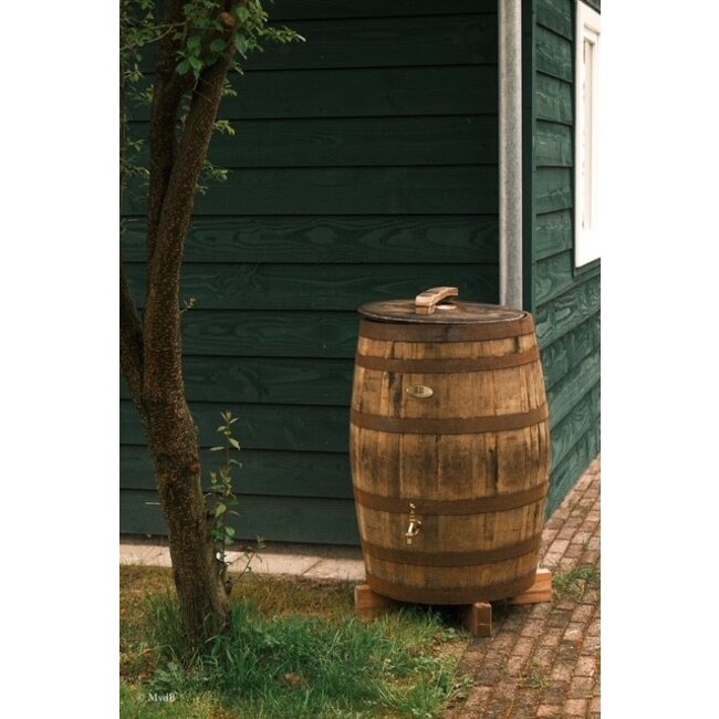 Houten Regenton Whisky "Scottisch"  Los deksel