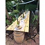 Wine Table Rent
