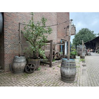Brandy" Wine Barrel with Wooden Pole – Extra Weighted for String Lights - Rent Brandy" Wine Barrel with Wooden Pole – Extra Weighted for String Lights - Rent