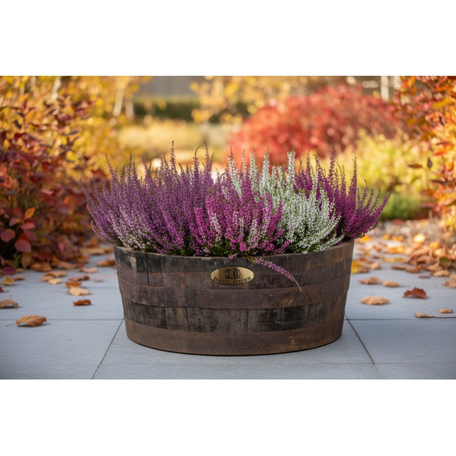 Barrel Atelier Whiskyvat kuip Scottisch LOW