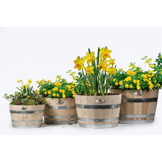 Half garden-Barrel' ALENTEJO' Natural Chestnut Wood