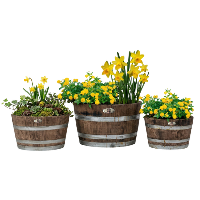 Half garden-Barrel 'BORBA' Bruin Chestnut Wood