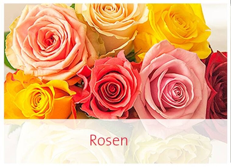 Rosen