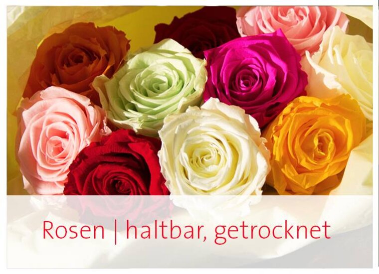 Dauerhaft haltbare Blumen