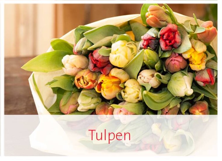 Tulpen