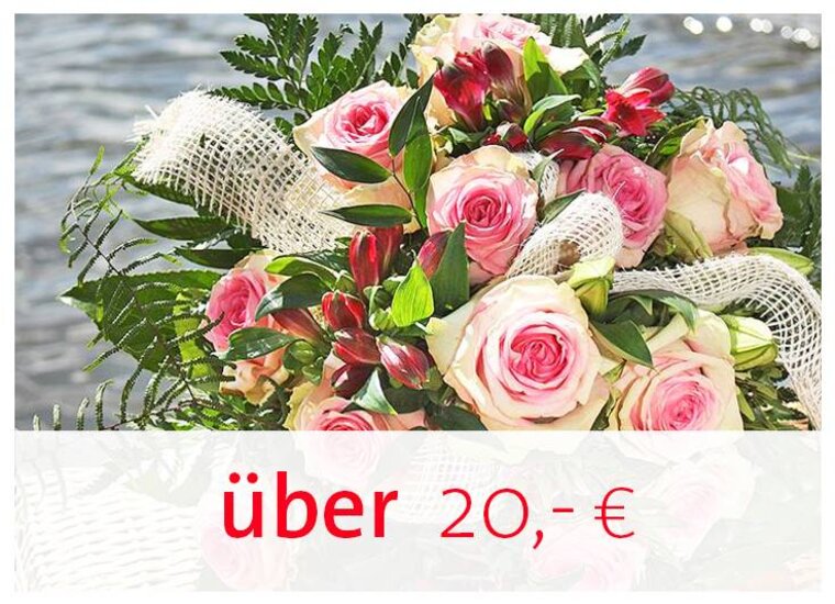 20,00€ und höher