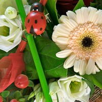 Blumenstrauß "Burattino"