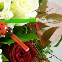Blumenstrauß "Burattino"