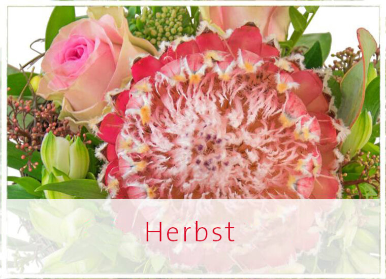 Herbst
