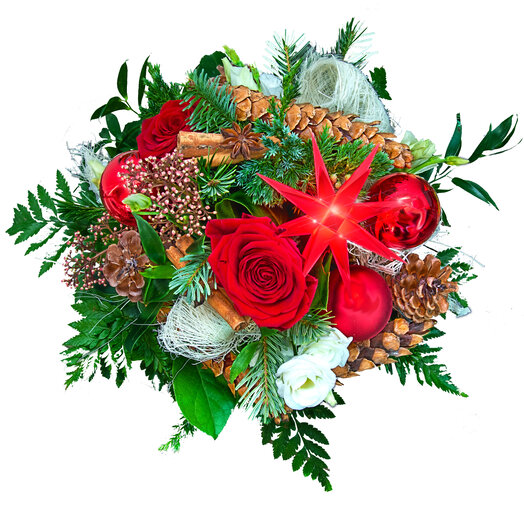 Herrnhuter Herrnhuter Stern  Rot