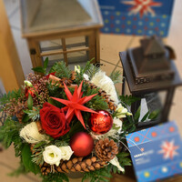 Herrnhuter Blumenstrauß "Herrnhuter Stern  Rot"