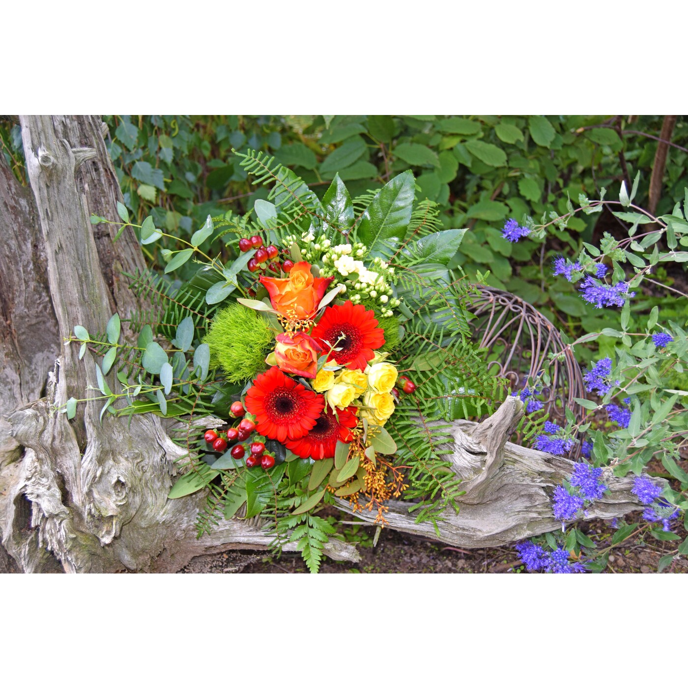 Blumenstrauß Moosröschen
