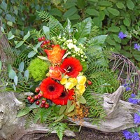 Blumenstrauß Moosröschen