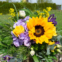 Blumenstrauß Yellow an Blue