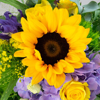Blumenstrauß Yellow an Blue