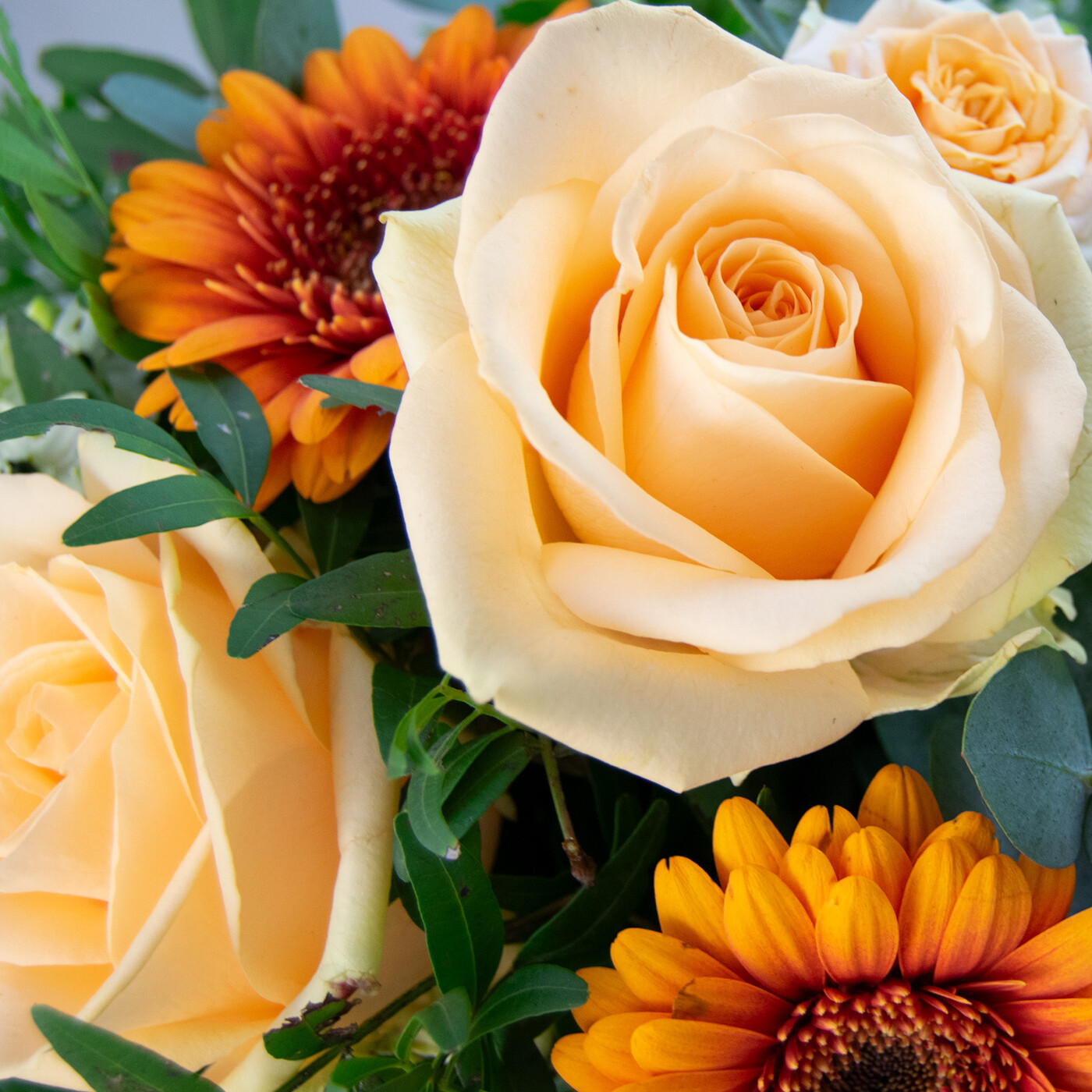 Blumenstrauß "Sweet Orange"