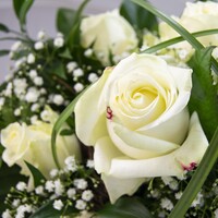 Blumenstrauß "White Roses"