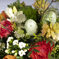 Blumenstrauß "Kiebitz-Ei"