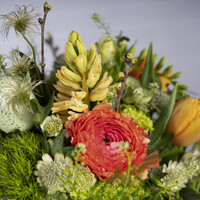 Blumenstrauß "Kiebitz-Ei"