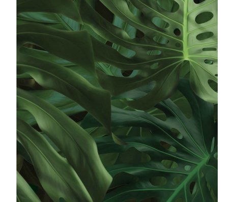 Kek Amsterdam Fond d'écran Tropical Monstera feuilles papier tissu vert 97,4x280cm