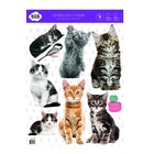 Kek Amsterdam Wall sticker set Kitten Multicolor vinyl foil 42x59cm
