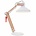 Anne Lighting Lampada da tavolo Woody bianco ø23x68cm metallo Legno Metallo