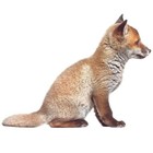 Kek Amsterdam Adesivo Bambino Fox, marrone, 34x26cm