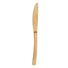 Housedoctor Couteau en acier doré 22,2cm