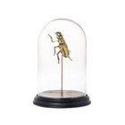 Riverdale Campanellino d'oro in metallo con vetro ø20x27cm