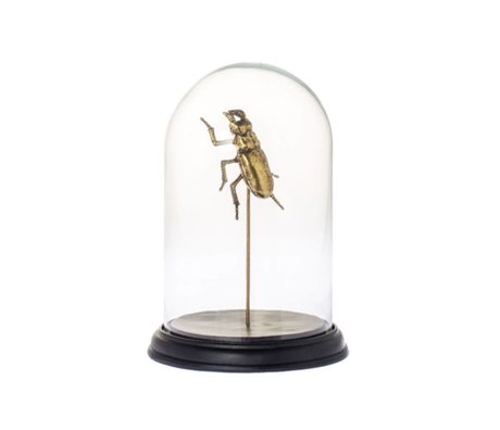 Riverdale Bell Bug Gold Glass Metal ø20x27cm