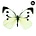 Kek Amsterdam Wandsticker Butterfly 960 XL, weiß/braun/grau, 33x24cm