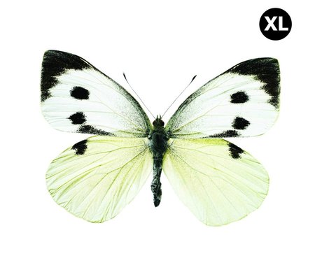 Kek Amsterdam Pegatinas de pared de la mariposa 960 XL, blanco / marrón / gris, 33x24cm