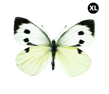 Kek Amsterdam Stickers muraux Papillon 960 XL, blanc / marron / gris, 33x24cm
