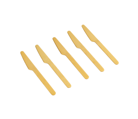 HAY Coltello Everyday oro in acciaio inossidabile set di 5 20x2cm