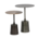 BePureHome Lot de 2 tables d'appoint Crush en métal argenté antique doré 47x33x33 / 56x42x42cm