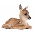 Kek Amsterdam Wall Decal Deer Forest Friend, brown, 40x33cm