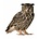 Kek Amsterdam Vægoverføringsbillede Owl Forest Friend, brun, 30x32cm