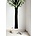 Kek Amsterdam Chalkboard foil tree, black / green, 185x260cm